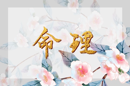 老皇历|择吉皇历|老皇历万年历